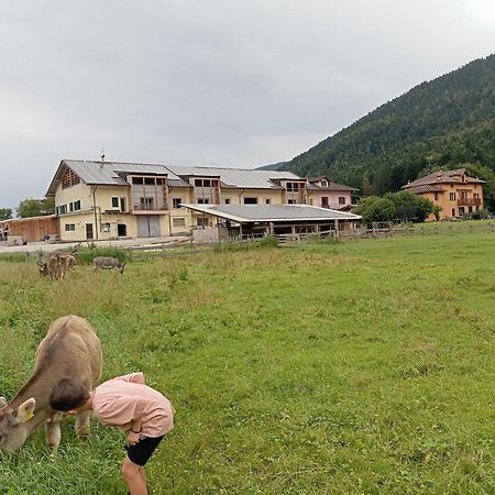 Maso Torbiera- Rural And Mountain Lodging Fiave Luaran gambar