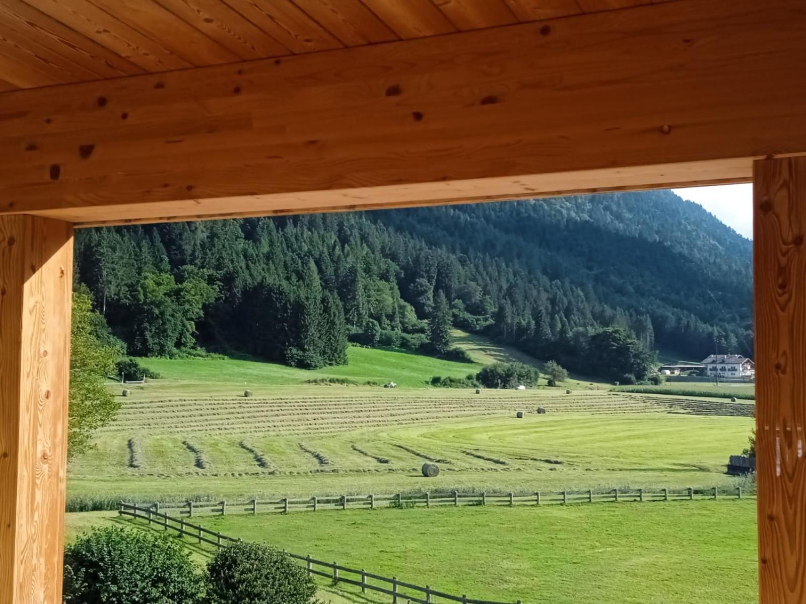 Maso Torbiera- Rural And Mountain Lodging Fiave Luaran gambar