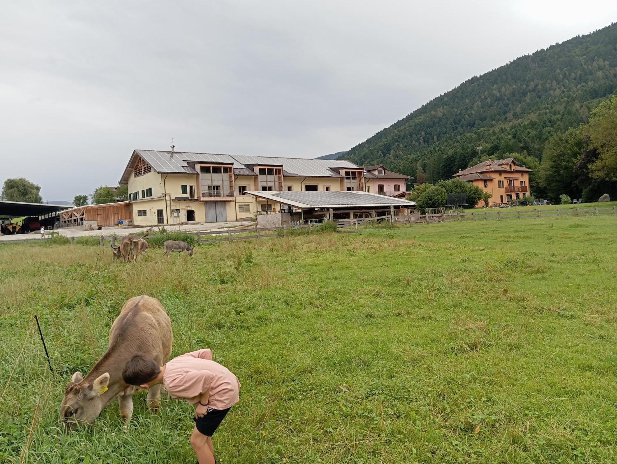 Maso Torbiera- Rural And Mountain Lodging Fiave Luaran gambar