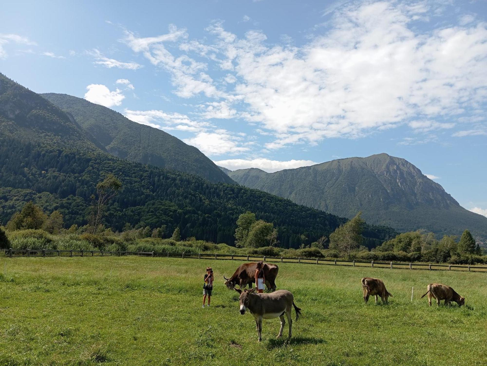 Maso Torbiera- Rural And Mountain Lodging Fiave Luaran gambar